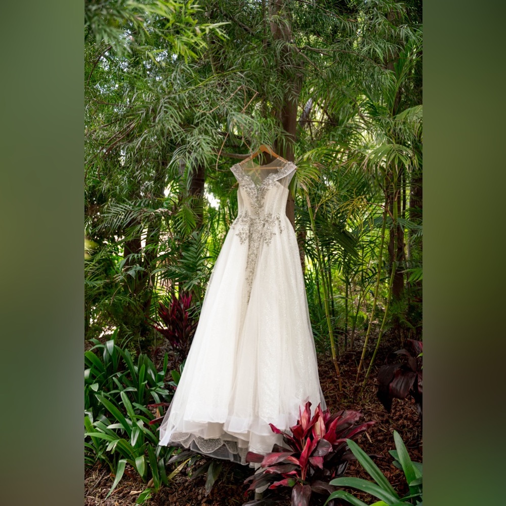 Princess gown wedding dress - Blinged out and sparkly